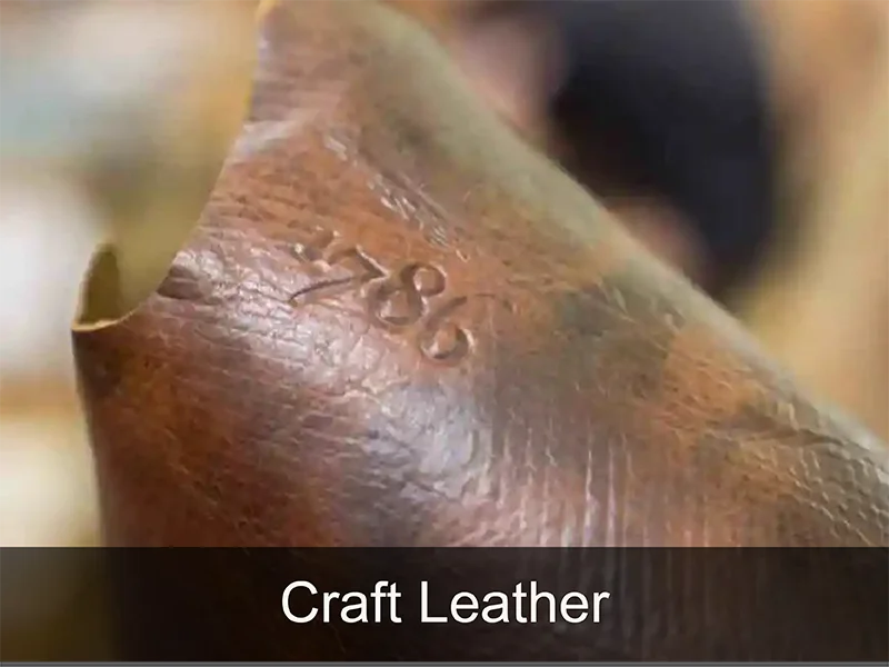 特殊工藝皮料